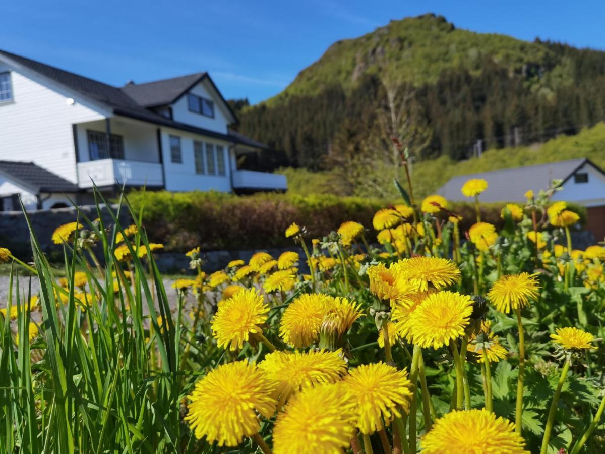 Banpim Hillside Lofoten With Jacusszi Gravdal  Exterior foto