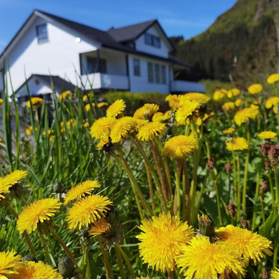Banpim Hillside Lofoten With Jacusszi Gravdal  Exterior foto